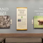 Grand-Prize-winner-of-the-2017-Nature’s-Best-Windland-Smith-Rice-Awards-5